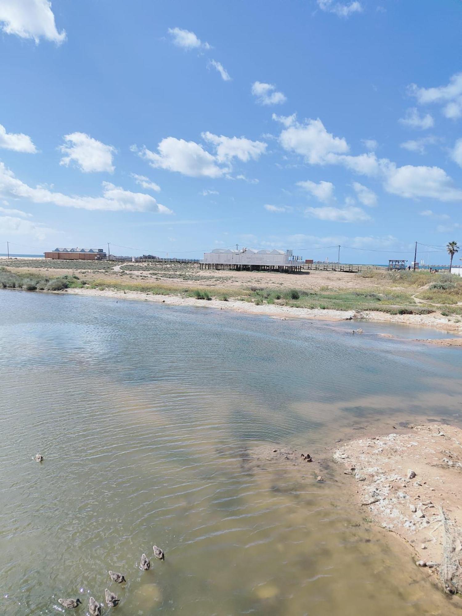Bayline- Beachfront And Pool Armacao de Pera Luaran gambar